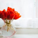 negative-space-red-bunch-vase-windows-flowers-color