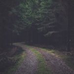 negative-space-road-forest-path-dark-green-track-hike